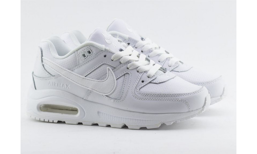 Nike Air Max 90 Skyline